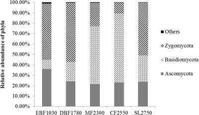 Forest Soil Fungal Community Elevational Distribution Pattern and Their Ecological Assembly Processes